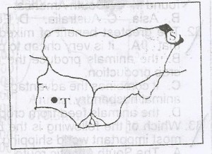 The soil type found in the area marked S is
